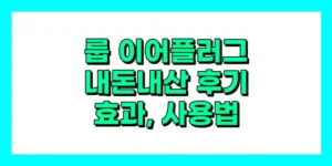룹 이어플러그 내돈내산 후기, 효과, 사용법, 가격