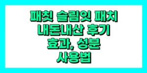 패칫 슬림잇 패치 내돈내산 후기, 효과, 성분, 사용법
