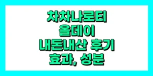 차차나로티 올데이 내돈내산 후기, 효과, 부작용, 성분