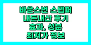 바운스번 스텝퍼 내돈내산 후기, 효과, 사용법 가격