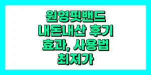 원영핏밴드 내돈내산 후기, 효과, 사용법,