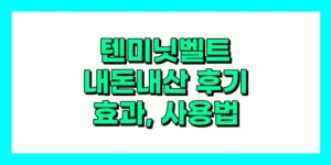텐미닛벨트 내돈내산 후기, 효과, 사용법, 가격