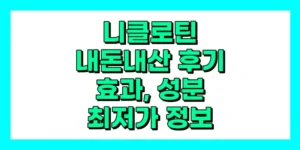 니클로틴 내돈내산 후기, 효과, 성분, 부작용, 가격