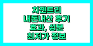 치젠트리 내돈내산 후기, 치핵 효과, 먹는법, 가격, 부작용