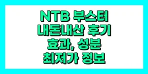 NTB 부스터 부작용, 내돈내산 후기, 효과, 성분, 가격