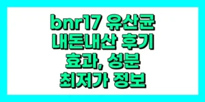 bnr17 유산균 내돈내산 후기, 효과, 성분, 부작용, 가격