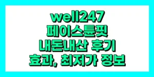 well247 페이스튠핏 내돈내산 후기, 효과, 사용법, 가격