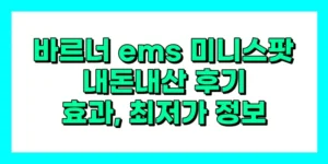 바르너 ems 미니스팟 내돈내산 후기, 효과, 가격
