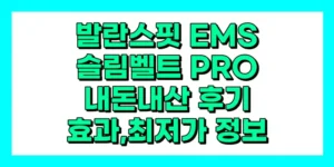 발란스핏 EMS 슬림 벨트 PRO 내돈내산 후기, 효과, 사용법, 가격