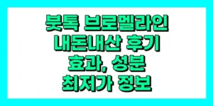 붓톡 브로멜라인-X 내돈내산 후기, 효과, 성분, 가격