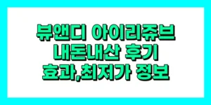 뷰앤디 아이리쥬브 내돈내산 후기, 효과, 가격