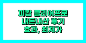 피캄 클리어프로 내돈내산 후기, 효과, 성분, 부작용, 가격