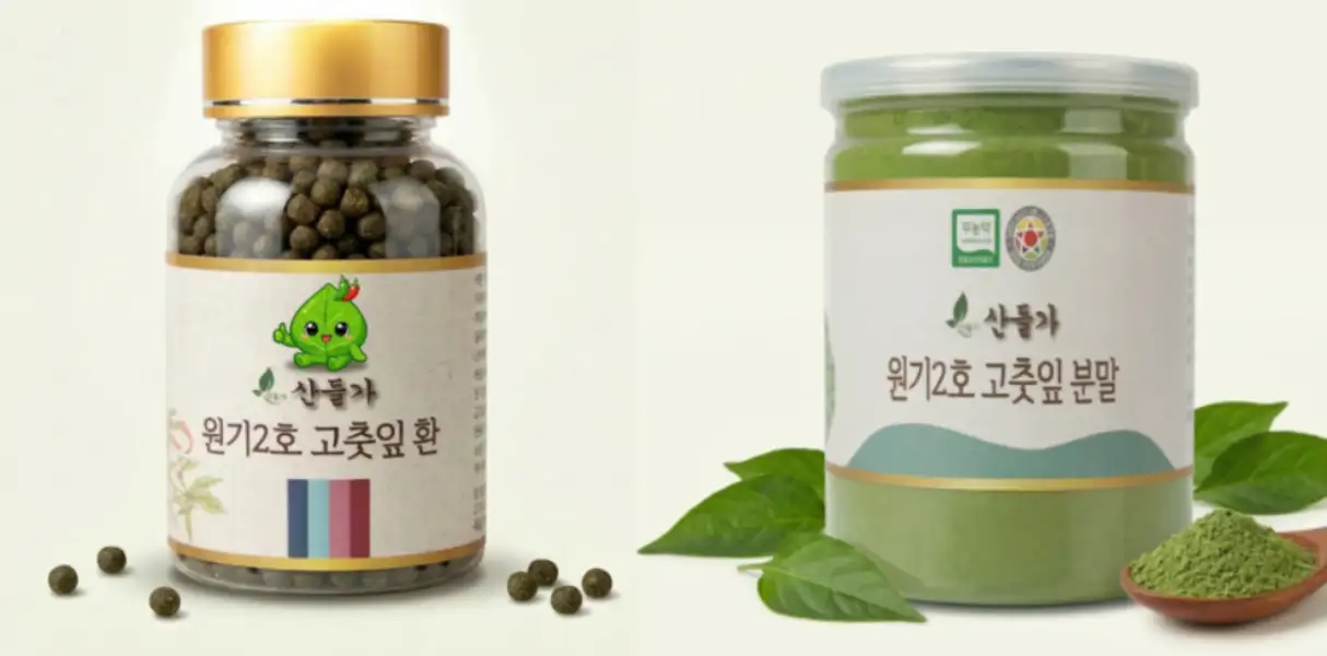 원기2호 고추잎