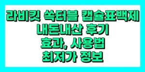 라비킷 쏙터블 캡슐표백제 내돈내산 후기 효과 성분 가격