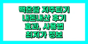 백온담 저주파기 내돈내산 후기, 효과, 사용법, 가격