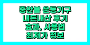 중안볼 운동기구 내돈내산 후기, 효과,사용방법, 가격