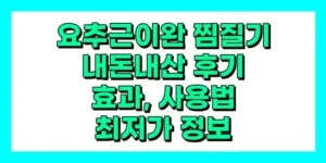 요추근이완 찜질기 내돈내산 후기, 효과, 사용법, 가격