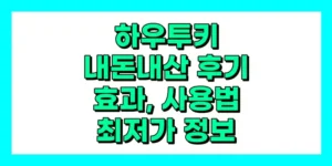 하우투키 효과 없음 내돈내산 후기, 가격