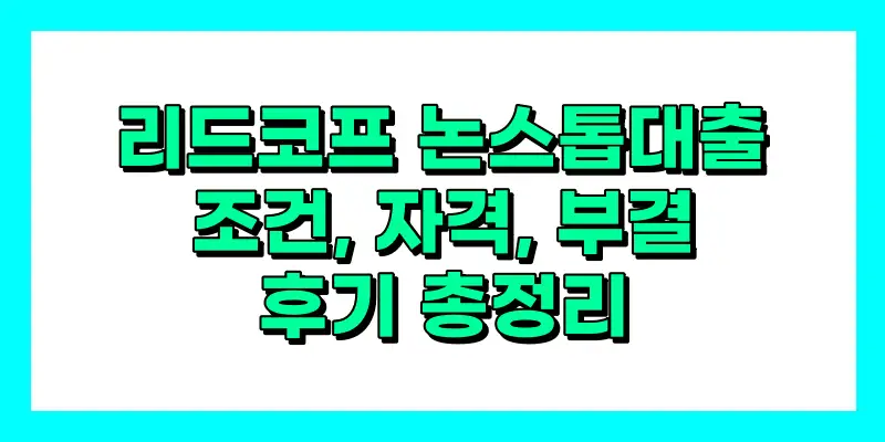 리드코프 논스톱대출