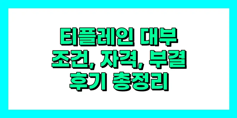 티플레인 대부