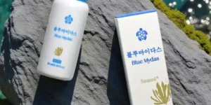 푸른거북 감태